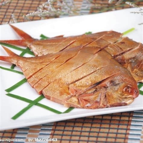 銀鯧魚飼養